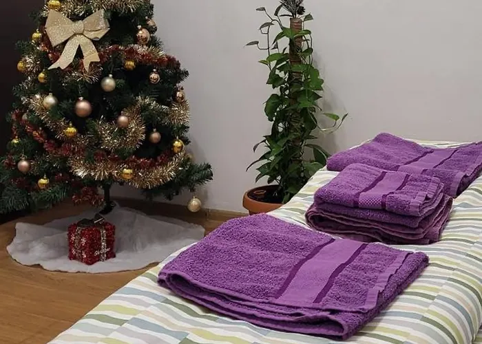 Central University Apartment *