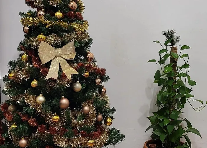 Apartment Central University Apartment Bucharest