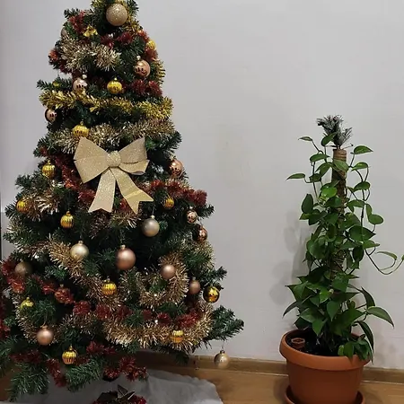 Daire Central University Apartment Bükreş